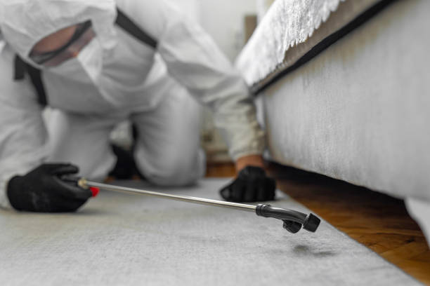 Professional Cockroach Control technician working in Muskegon Heights, MI