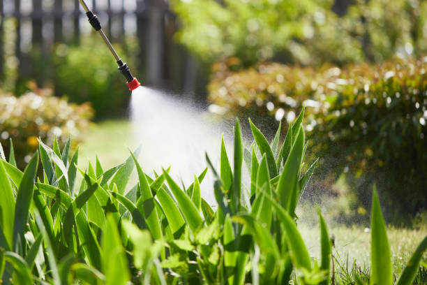 24/7 Emergency Cockroach Control experts in Muskegon Heights, MI