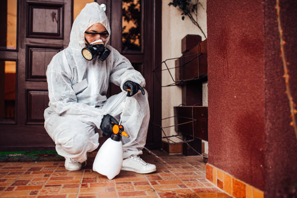 Reliable Cockroach Control contractor in Muskegon Heights, MI by Nex Pest Control