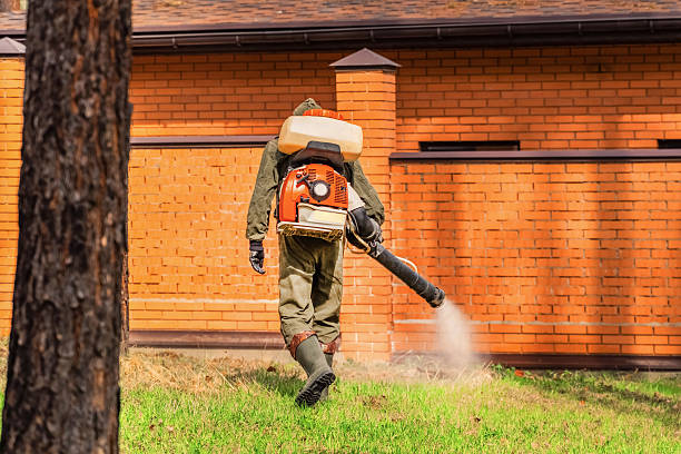 Top rated local Cockroach Control specialists in Muskegon Heights, MI